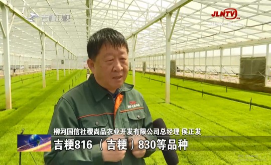 21.農業總公司水稻基地經理侯正發接受吉林衛視采訪_副本.jpg